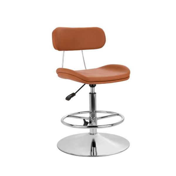 صندلی آزمایشگاهی  دانین 212PG107 کد 1101